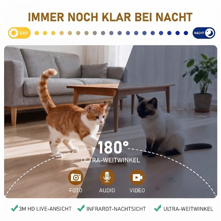 Automatischer Katzenfutterspender
