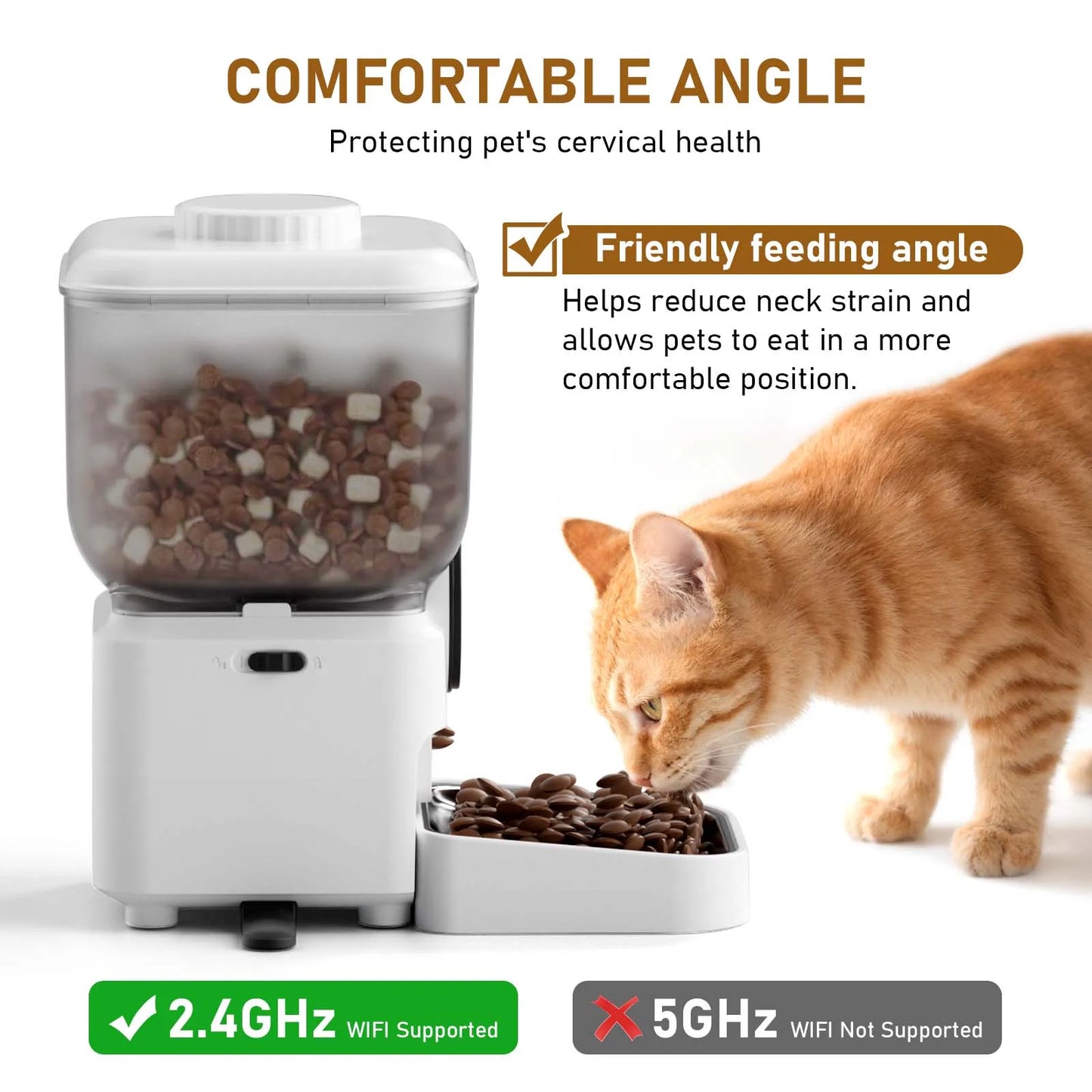 Automatischer Katzenfutterspender