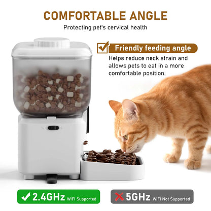 Automatischer Katzenfutterspender