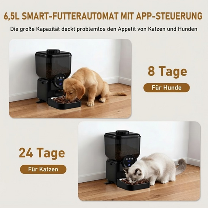 Automatischer Katzenfutterspender